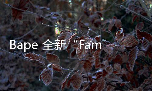 Bape 全新“Family Bag”福袋系列發(fā)布，涵蓋男女童尺碼