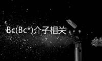 Bc(Bc*)介子相關(guān)問題的研究(關(guān)于Bc(Bc*)介子相關(guān)問題的研究簡述)