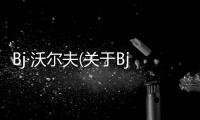 Bj·沃爾夫(關(guān)于Bj·沃爾夫簡(jiǎn)述)