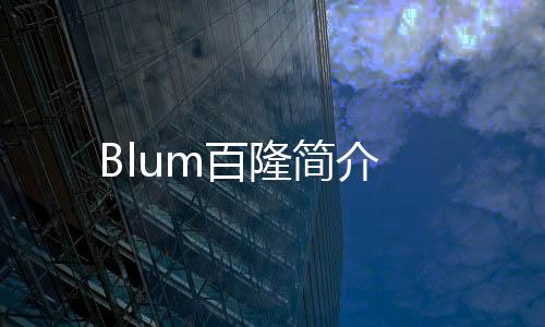 Blum百隆簡介
