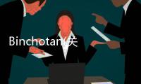 Binchotan(關于Binchotan簡述)