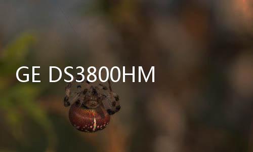 GE DS3800HMPK1K1K