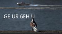 GE UR 6EH UR6EH