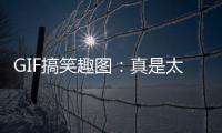 GIF搞笑趣圖：真是太囂張了，在這上面打架呢？當(dāng)我不存在是吧！