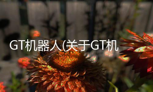 GT機器人(關于GT機器人簡述)