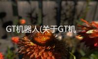 GT機器人(關于GT機器人簡述)