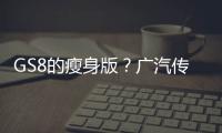 GS8的瘦身版？廣汽傳祺GS8 S實(shí)車亮相