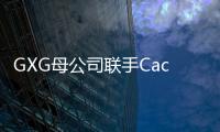 GXG母公司聯(lián)手Cache Cache設(shè)立電商公司 入局電商代運(yùn)營