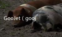 GooJet（goojje）