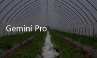 Gemini Pro 模型開放開發(fā)者和企業(yè)使用，成本比 PaLM 2 便宜二至四倍