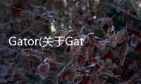 Gator(關(guān)于Gator簡(jiǎn)述)
