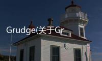 Grudge(關(guān)于Grudge簡述)