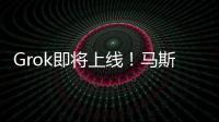 Grok即將上線！馬斯克據(jù)此成為“數(shù)據(jù)封建王”?