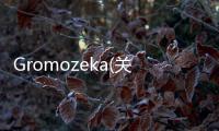 Gromozeka(關于Gromozeka簡述)