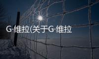 G·維拉(關于G·維拉簡述)
