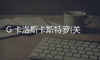 G·卡洛斯卡斯特羅(關于G·卡洛斯卡斯特羅簡述)