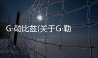 G·勒比茲(關于G·勒比茲簡述)