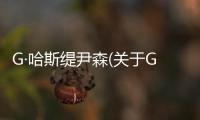 G·哈斯緹尹森(關于G·哈斯緹尹森簡述)