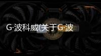 G·波科威(關于G·波科威簡述)