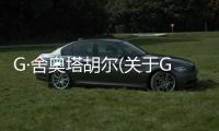 G·舍奧塔胡爾(關于G·舍奧塔胡爾簡述)