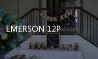 EMERSON 12P0678X042