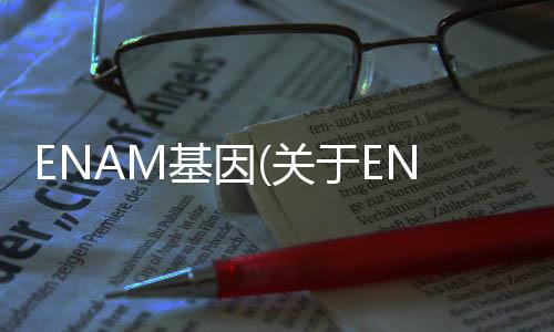 ENAM基因(關(guān)于ENAM基因簡(jiǎn)述)