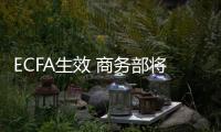 ECFA生效 商務部將推動“早收”實施