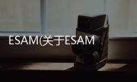 ESAM(關于ESAM簡述)