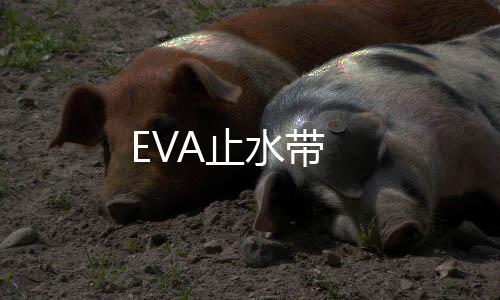 EVA止水帶