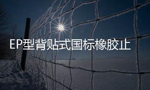 EP型背貼式國標橡膠止水帶1米價格