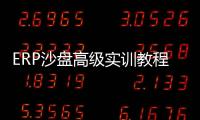 ERP沙盤高級實訓教程(關于ERP沙盤高級實訓教程簡述)