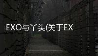 EXO與丫頭(關(guān)于EXO與丫頭簡(jiǎn)述)