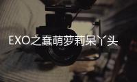 EXO之蠢萌蘿莉呆丫頭(關(guān)于EXO之蠢萌蘿莉呆丫頭簡述)