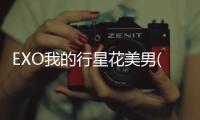 EXO我的行星花美男(關于EXO我的行星花美男簡述)