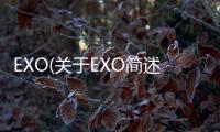 EXO(關于EXO簡述)