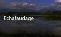 Echafaudages(關于Echafaudages簡述)