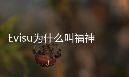 Evisu為什么叫福神？一文讀懂Evisu是什么牌子！