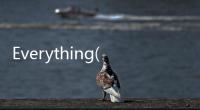 Everything(關于Everything簡述)