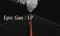 Epic Gas：LPG航運市場將在2019年迎來好轉(zhuǎn)