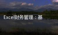 Excel財務管理：基于ERP沙盤對抗(關于Excel財務管理：基于ERP沙盤對抗簡述)