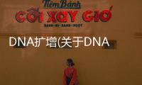 DNA擴增(關于DNA擴增簡述)