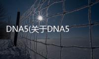 DNA5(關于DNA5簡述)