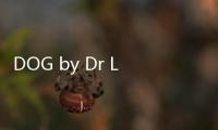 DOG by Dr Lisa為您的小狗推出冬季滋養護膚方案