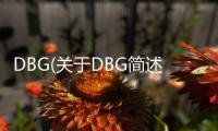 DBG(關于DBG簡述)