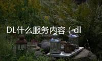 DL什么服務內容（dl是什么意思服務項目）