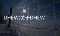 DHEW(關于DHEW簡述)