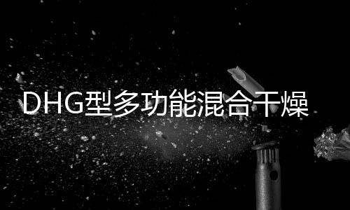 DHG型多功能混合干燥器(關于DHG型多功能混合干燥器簡述)