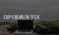 DIPS系統(關于DIPS系統簡述)