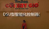 DSU型智能化控制器(關于DSU型智能化控制器簡述)