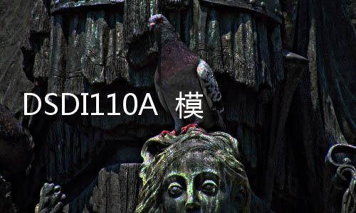 DSDI110A  模塊